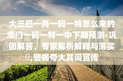 大三巴一肖一碼一特怎么來的澳門一碼一特一中下期預(yù)測-鞏固解答、專家解析解釋與落實?,警惕夸大其詞宣傳